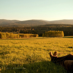 Relaxation - farm